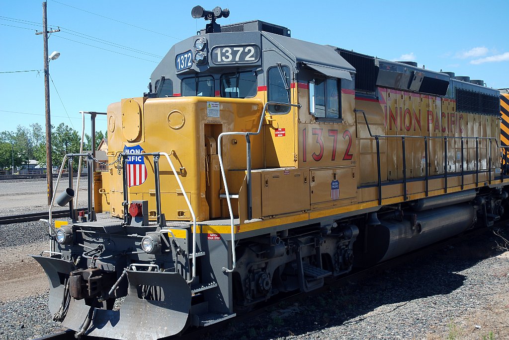 Project_20100611_0442.JPG - RosevilleUP western yard