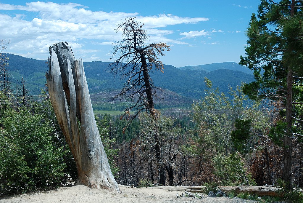 Project_20100612_0460.JPG - Yosemite NP