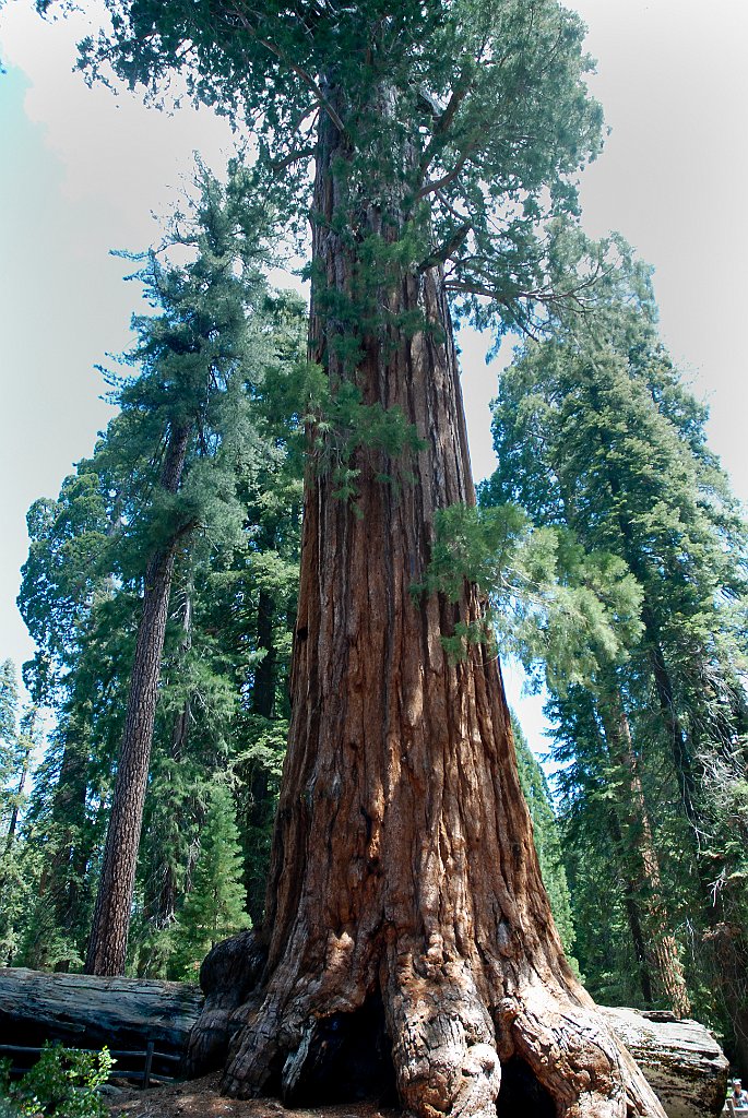 Project_20100613_0490.JPG - Kings CanyonGrant Cove