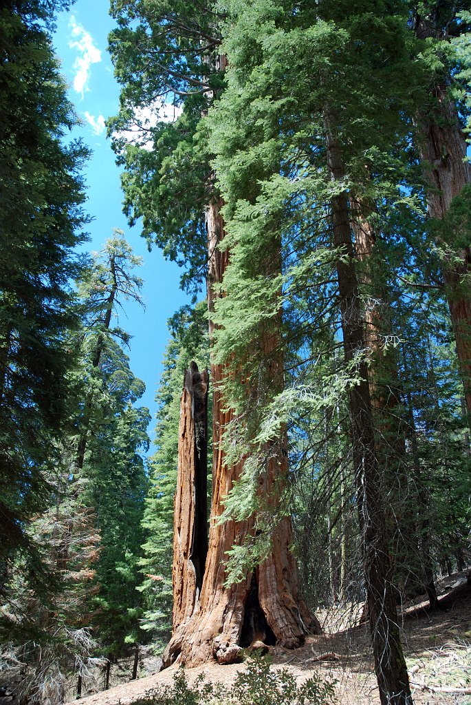 Project_20100613_0495.JPG - Kings CanyonGrant Cove