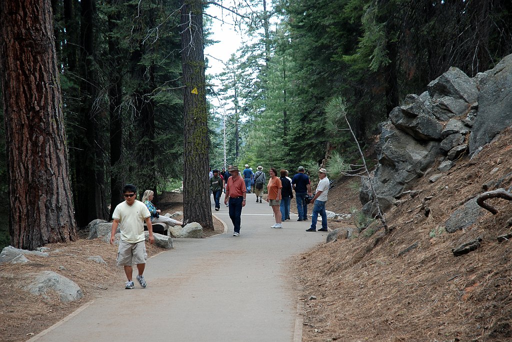 Project_20100613_0498.JPG - Sequoia NPGrant ForestOp weg naar General Sherman