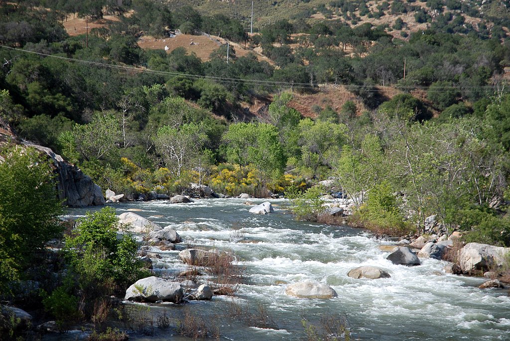 Project_20100613_0508.JPG - Kaweah river