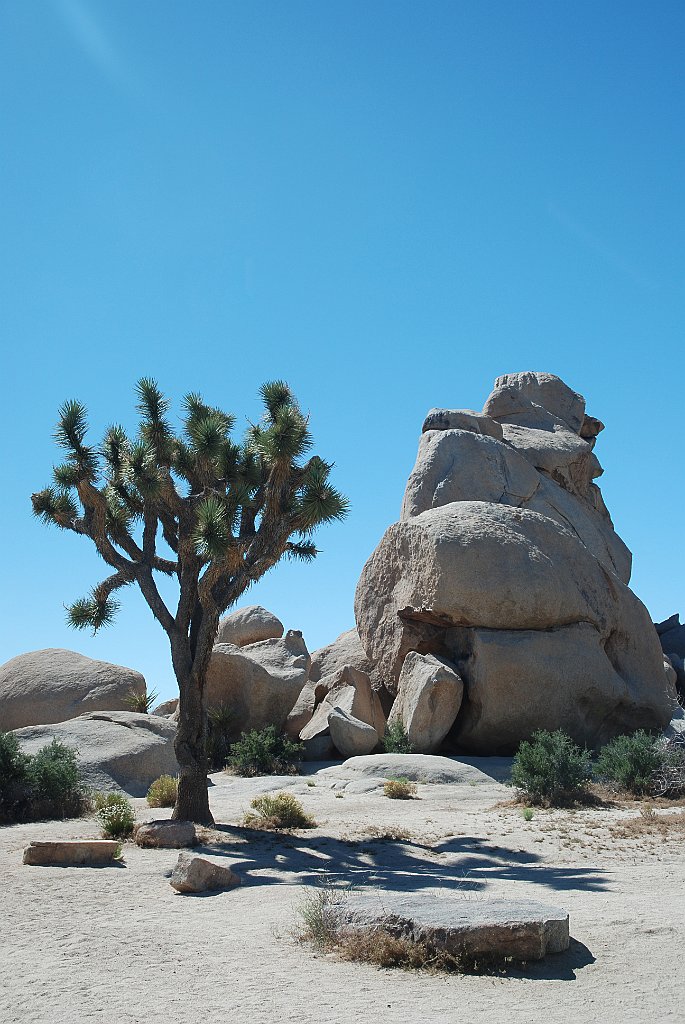 Project_20100614_0537.JPG - Joshua Tree NP