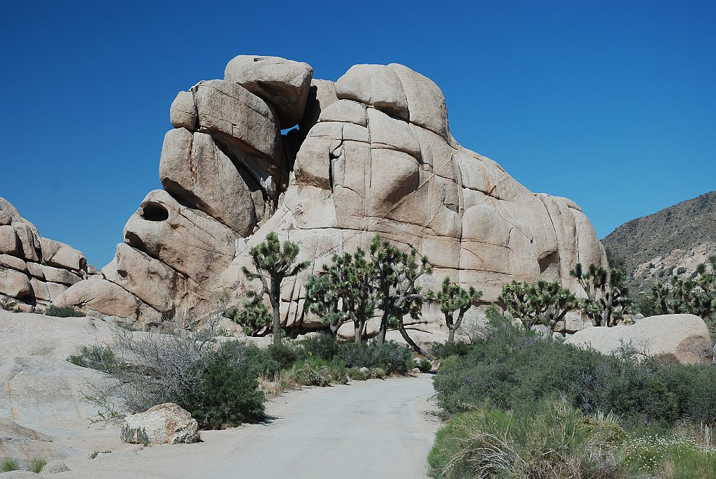 Project_20100614_0538.JPG - Joshua Tree NP