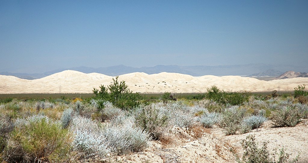 Project_20100615_0567.JPG - Kelso Sand Dunes