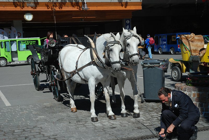 DSC_6931.JPG - De paarden zijn geborsteld