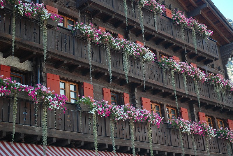 DSC_7216.JPG - Zermatt bloemenpracht