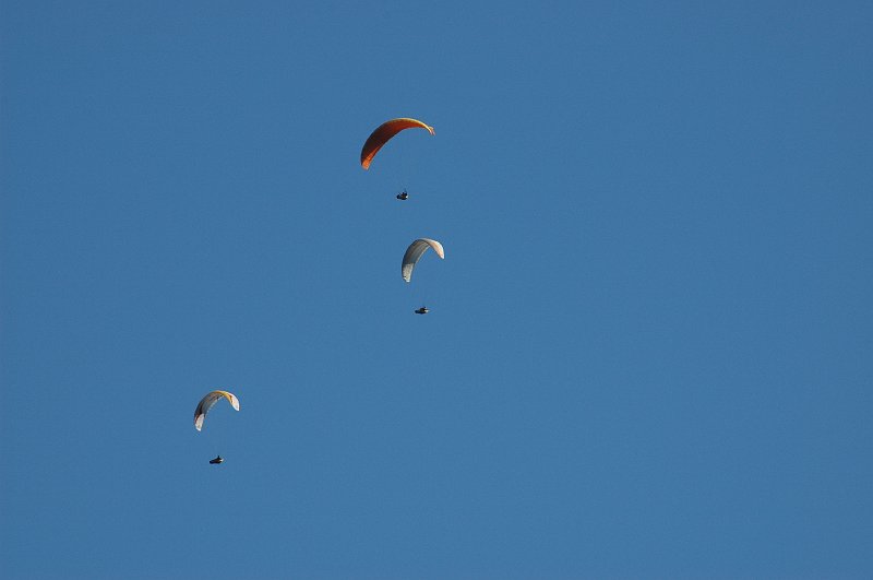 DSC_7662.JPG - Parapenten boven Fiesch