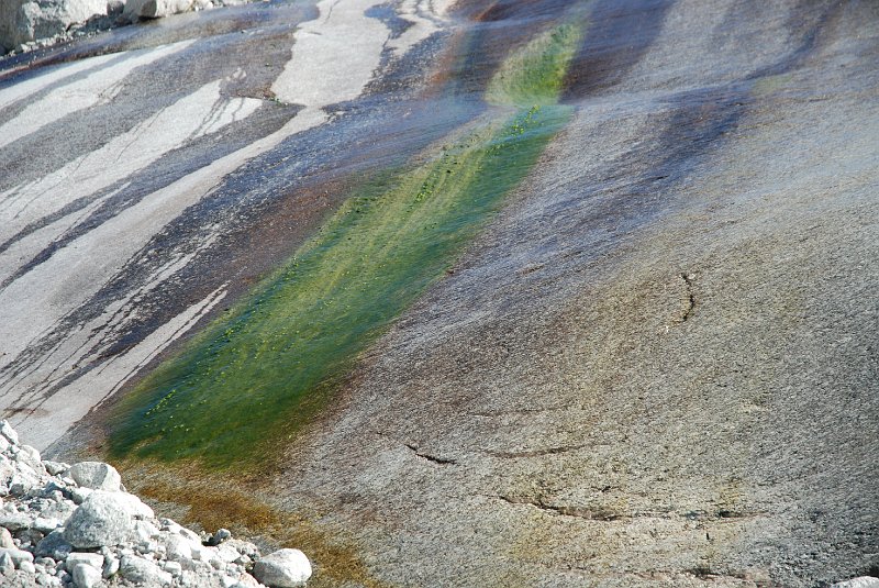 DSC_7757.JPG - Yellowstone?