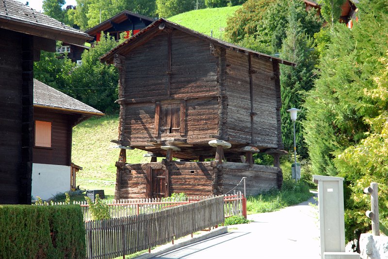 DSC_8067.JPG - Ons fietsenhok